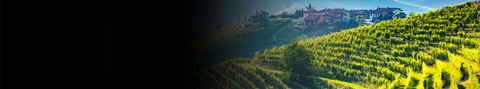 Red Blends and Other Reds Collection of Premium wines on Porters Lux