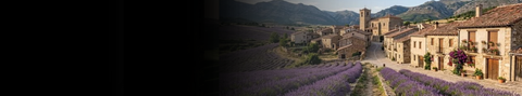 French Wine