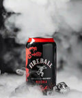Fireball Cinnamon Whisky & Cola 6.6% 355ml Case of 16