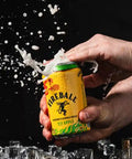 Fireball and Apple Can Closure Closures 355ml Case of 16