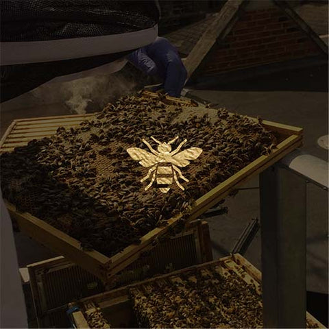 Honeyed Richness in Each Drop