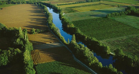 COGNAC CAN BE CRAFTED ONLY IN COGNAC