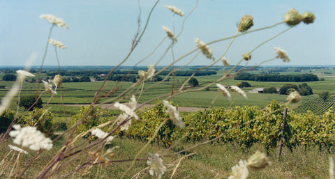 AS FAR AS THE EYE CAN SEE